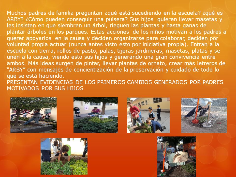 Muchos padres de familia preguntan ¿qué está sucediendo en la escuela