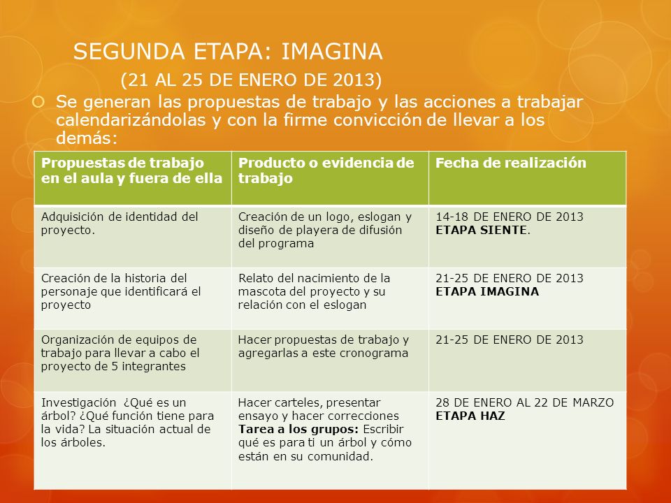 SEGUNDA ETAPA: IMAGINA (21 AL 25 DE ENERO DE 2013)
