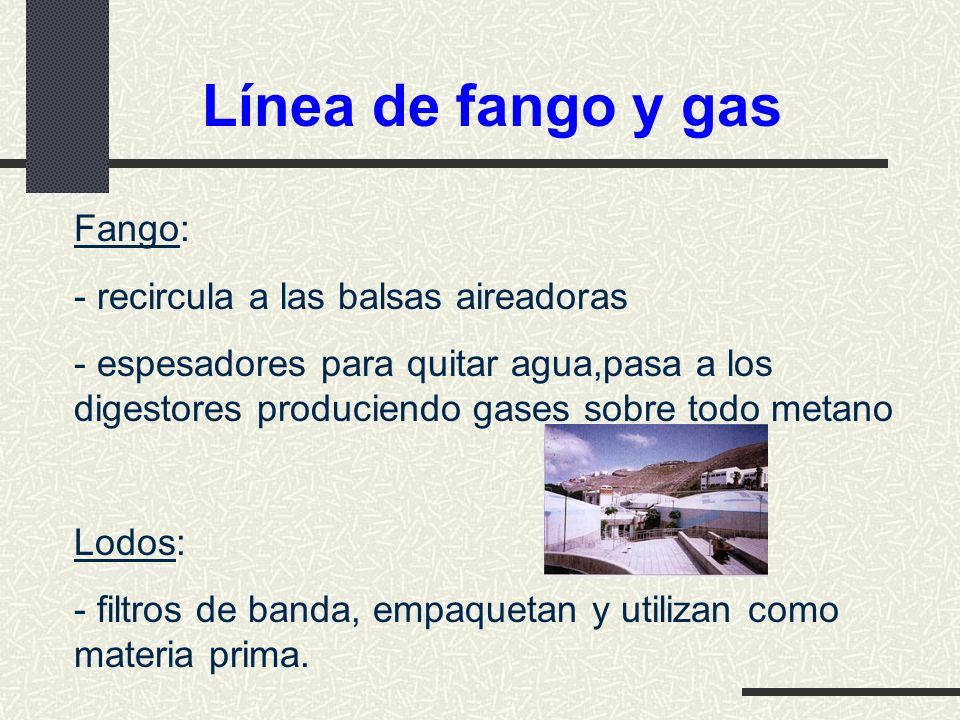 Línea de fango y gas Fango: - recircula a las balsas aireadoras