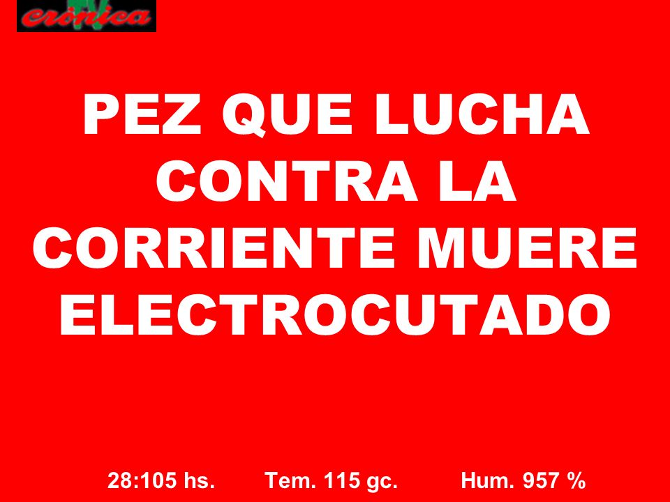 PEZ QUE LUCHA CONTRA LA CORRIENTE MUERE ELECTROCUTADO