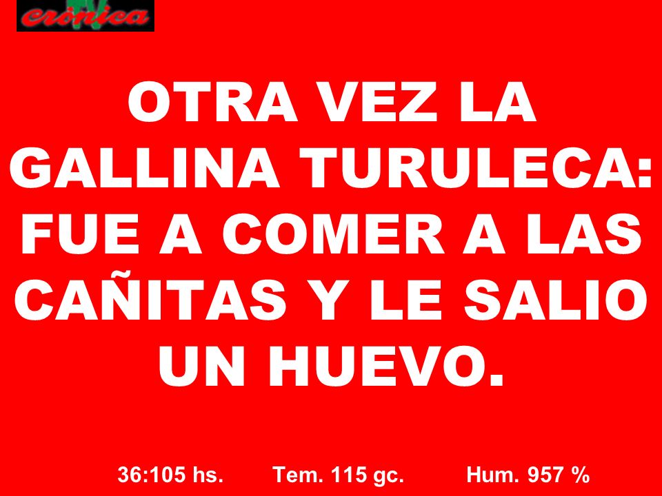 OTRA VEZ LA GALLINA TURULECA: FUE A COMER A LAS CAÑITAS Y LE SALIO UN HUEVO.