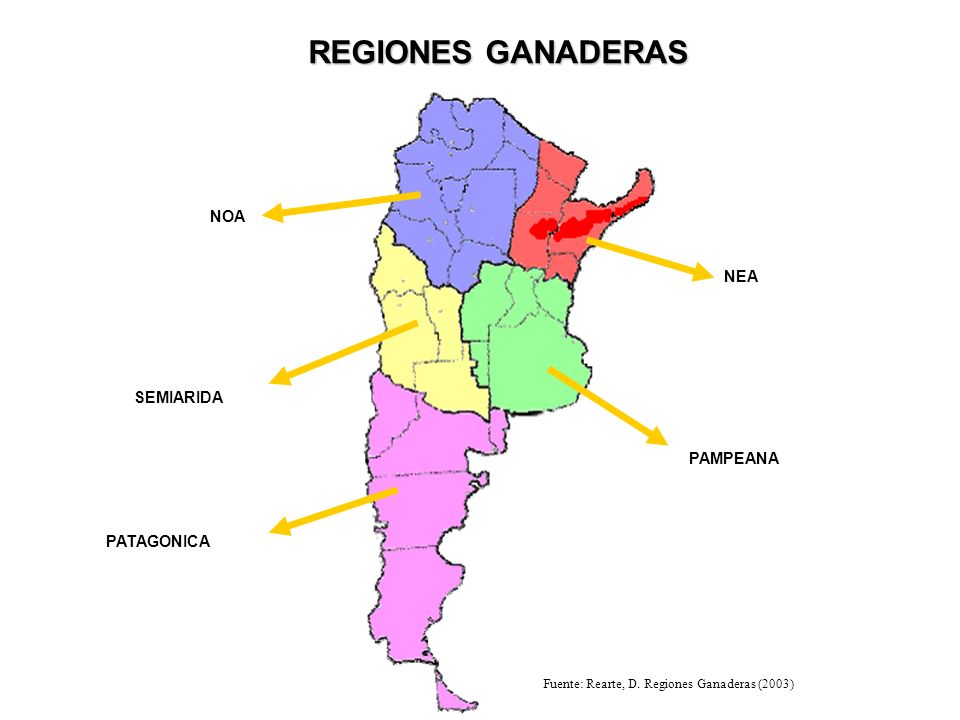 REGIONES GANADERAS NOA NEA SEMIARIDA PAMPEANA PATAGONICA