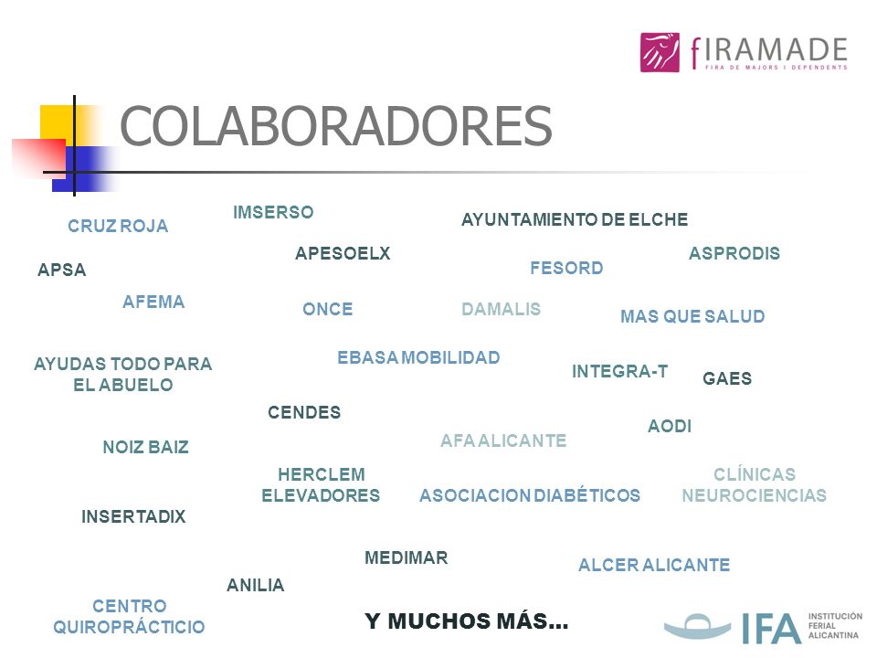 COLABORADORES Y MUCHOS MÁS… IMSERSO AYUNTAMIENTO DE ELCHE CRUZ ROJA