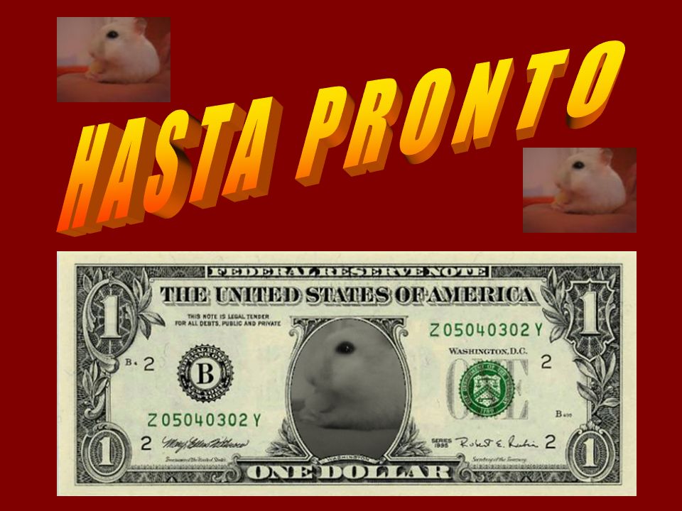 H A S T A P R O N T O