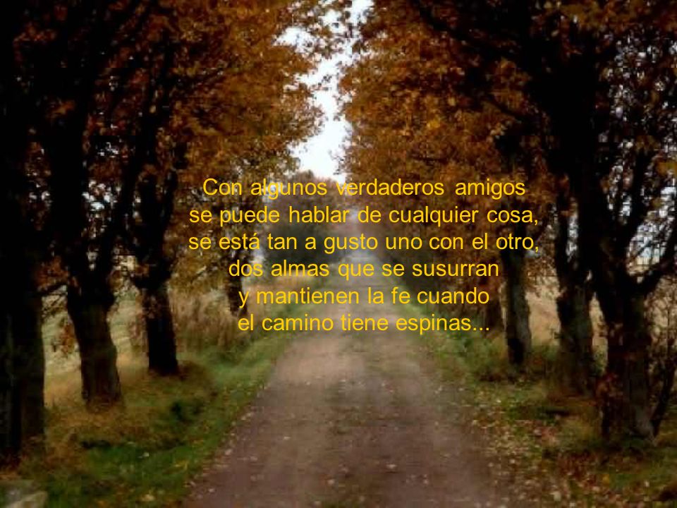 Con algunos verdaderos amigos se puede hablar de cualquier cosa,