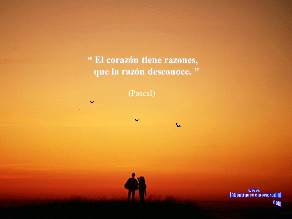 El corazón tiene razones, que la razón desconoce.