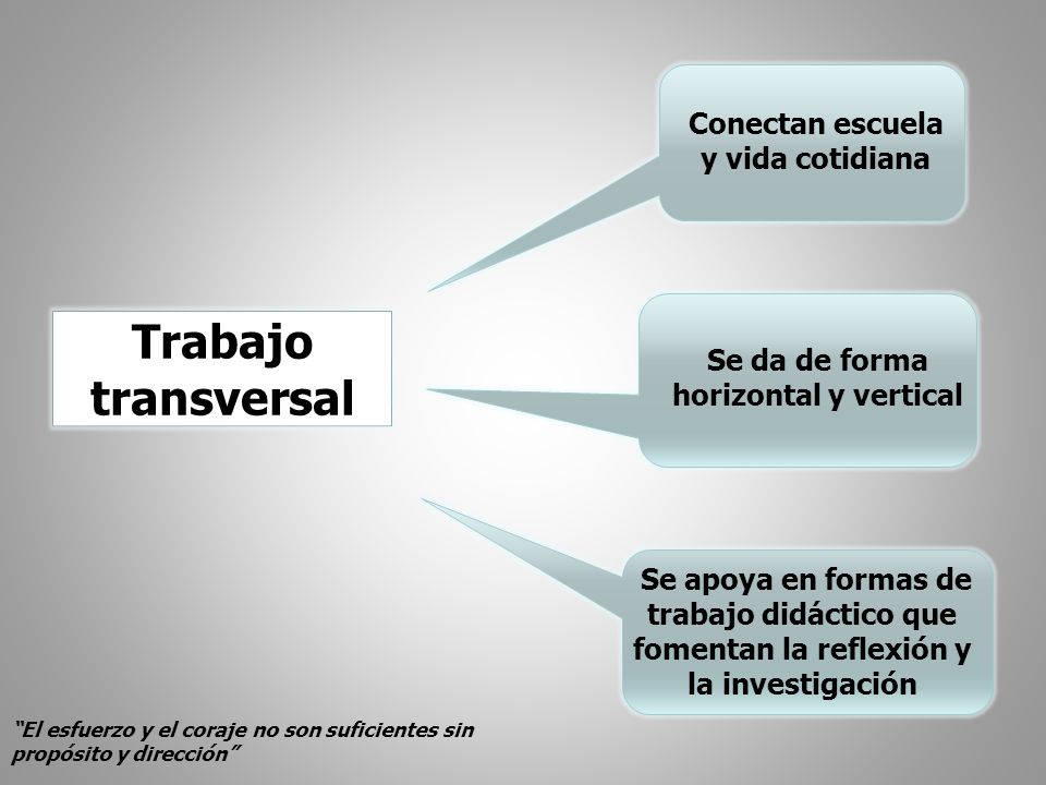 Conectan escuela y vida cotidiana Se da de forma horizontal y vertical