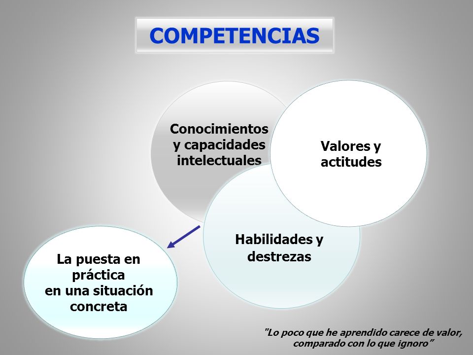 Conocimientos y capacidades intelectuales
