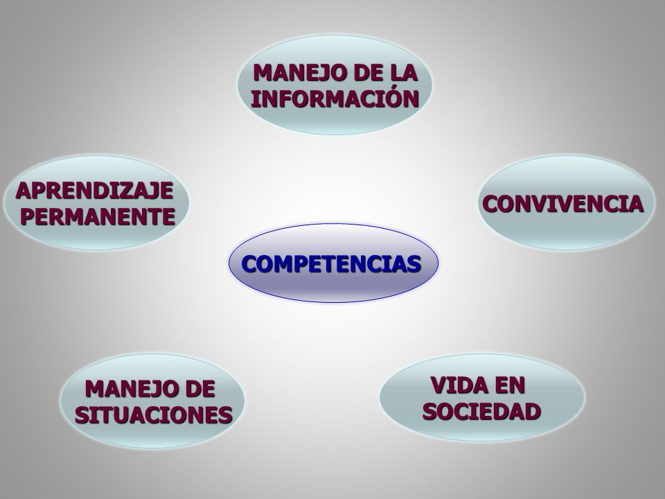 MANEJO DE LA INFORMACIÓN. APRENDIZAJE. PERMANENTE. CONVIVENCIA. COMPETENCIAS. MANEJO DE. SITUACIONES.