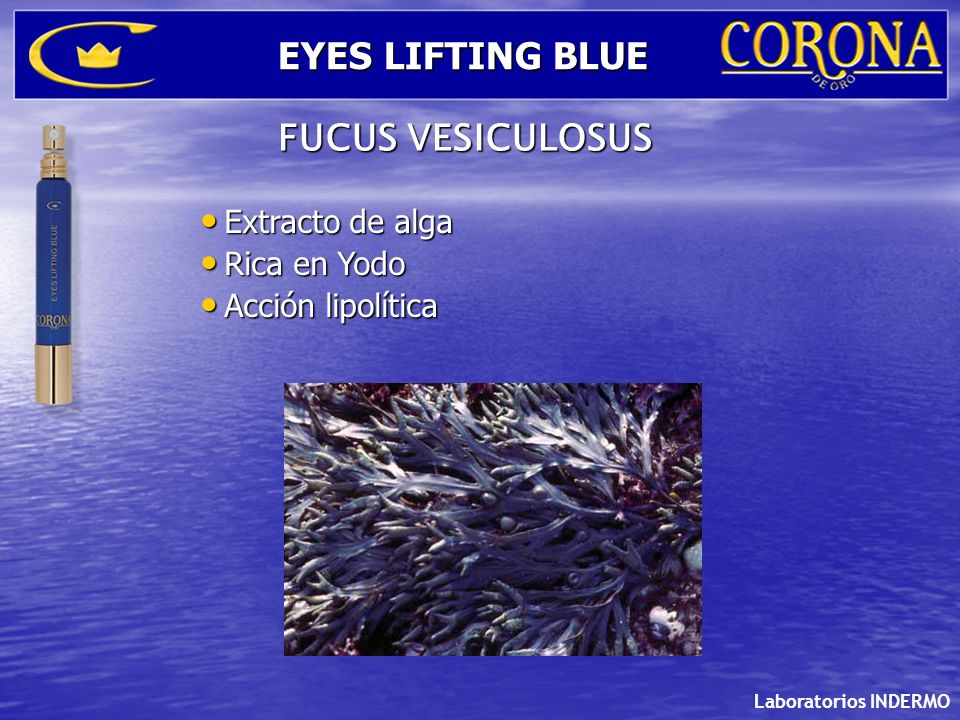 EYES LIFTING BLUE FUCUS VESICULOSUS Extracto de alga Rica en Yodo