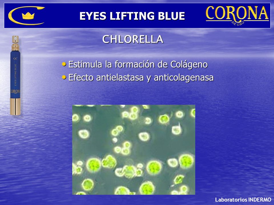 EYES LIFTING BLUE CHLORELLA Estimula la formación de Colágeno