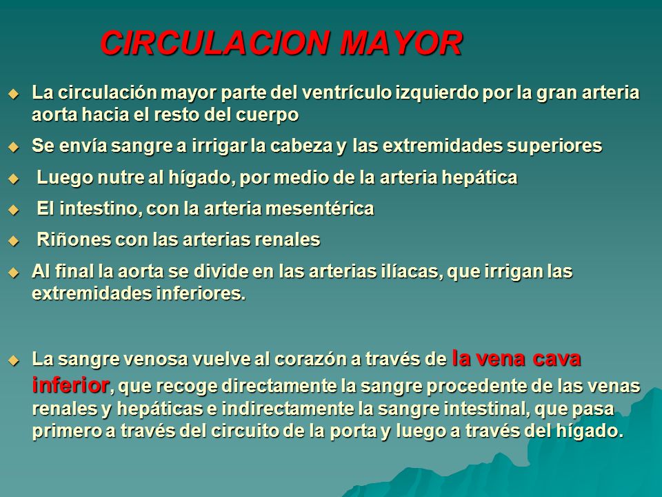 CIRCULACION MAYOR La circulación mayor parte del ventrículo izquierdo por la gran arteria aorta hacia el resto del cuerpo.