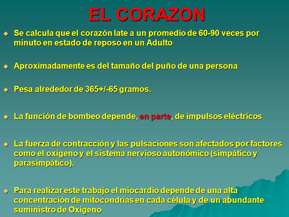 EL CORAZON Se calcula que el corazón late a un promedio de veces por minuto en estado de reposo en un Adulto.
