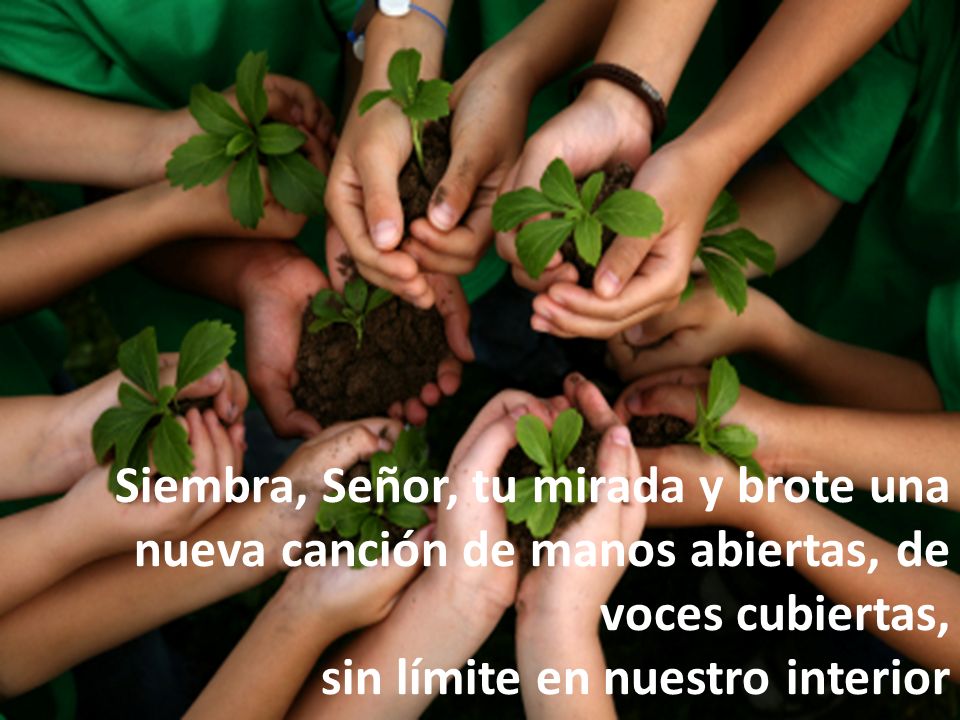 Siembra, Señor, tu mirada y brote una nueva canción de manos abiertas, de voces cubiertas,