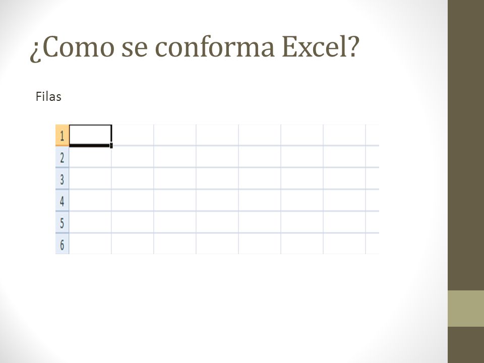 ¿Como se conforma Excel