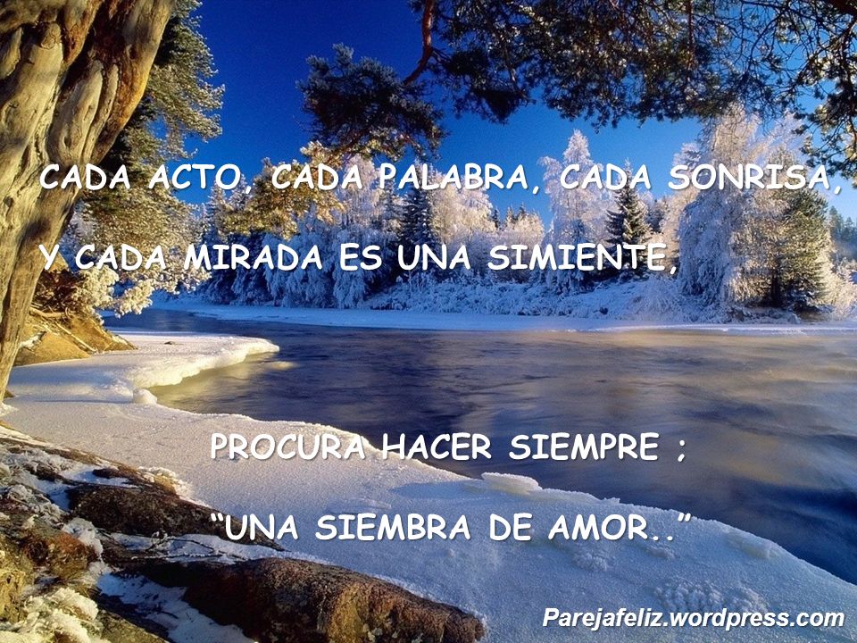 CADA ACTO, CADA PALABRA, CADA SONRISA, Y CADA MIRADA ES UNA SIMIENTE,