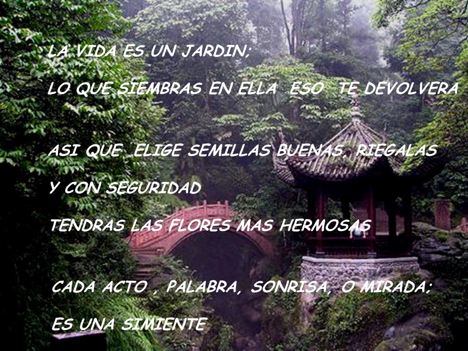 LA VIDA ES UN JARDIN; LO QUE SIEMBRAS EN ELLA ESO TE DEVOLVERA. ASI QUE ELIGE SEMILLAS BUENAS, RIEGALAS.
