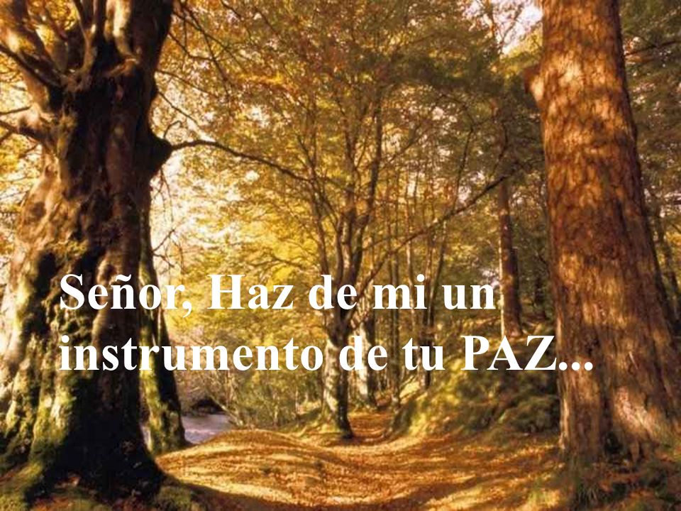 Señor, Haz de mi un instrumento de tu PAZ...