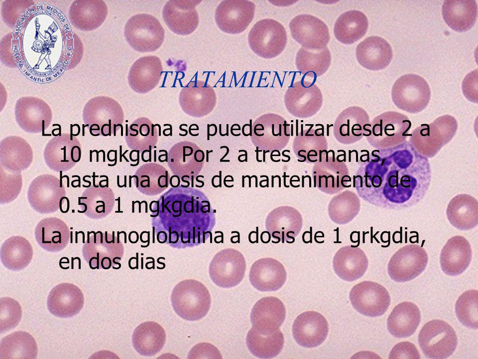 TRATAMIENTO La prednisona se puede utilizar desde 2 a 10 mgkgdia. Por 2 a tres semanas, hasta una dosis de mantenimiento de 0.5 a 1 mgkgdia.