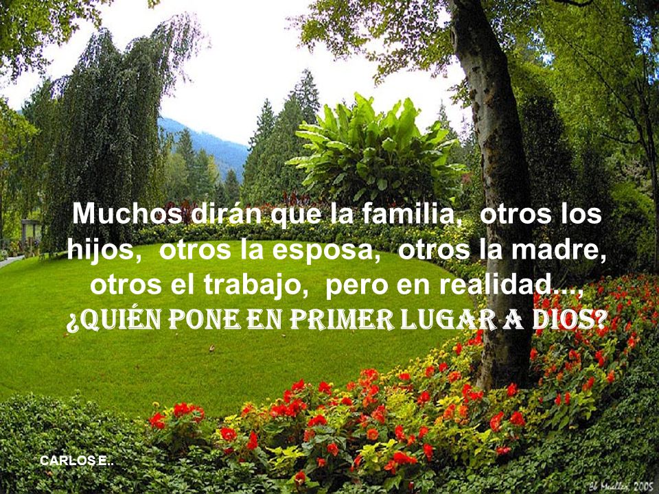 Muchos dirán que la familia, otros los hijos, otros la esposa, otros la madre, otros el trabajo, pero en realidad..., ¿quién pone en primer lugar a Dios