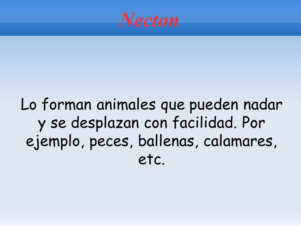 Necton Lo forman animales que pueden nadar y se desplazan con facilidad.