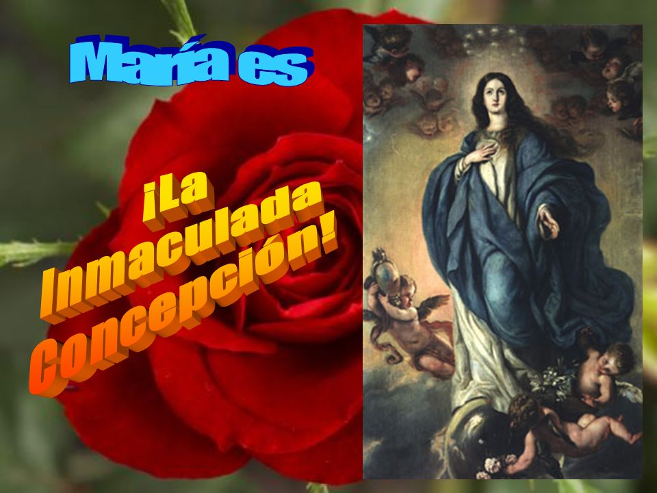 María es ¡La Inmaculada Concepción!
