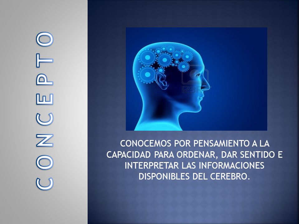 C O N C E P T O CONOCEMOS POR PENSAMIENTO A LA CAPACIDAD PARA ORDENAR, DAR SENTIDO E INTERPRETAR LAS INFORMACIONES DISPONIBLES DEL CEREBRO.