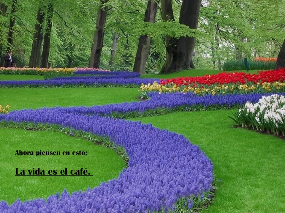 Ahora piensen en esto: La vida es el café.