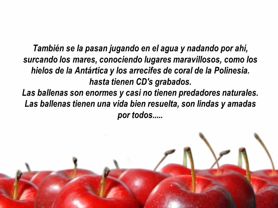 También se la pasan jugando en el agua y nadando por ahí, surcando los mares, conociendo lugares maravillosos, como los hielos de la Antártica y los arrecifes de coral de la Polinesia.