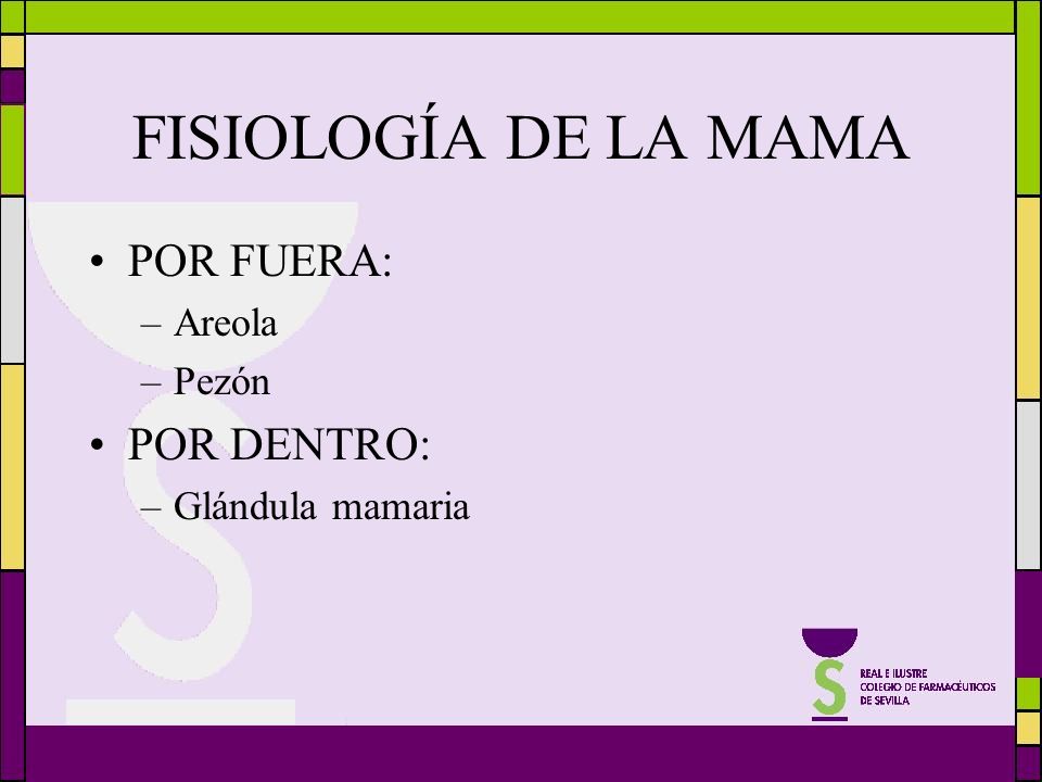 FISIOLOGÍA DE LA MAMA POR FUERA: POR DENTRO: Areola Pezón
