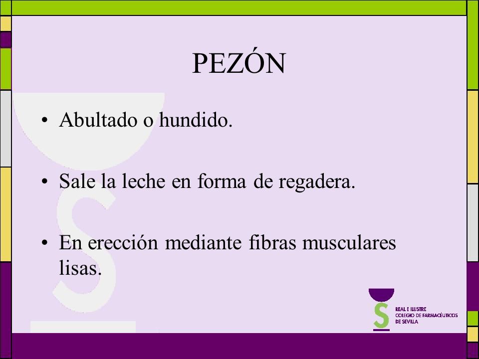 PEZÓN Abultado o hundido. Sale la leche en forma de regadera.