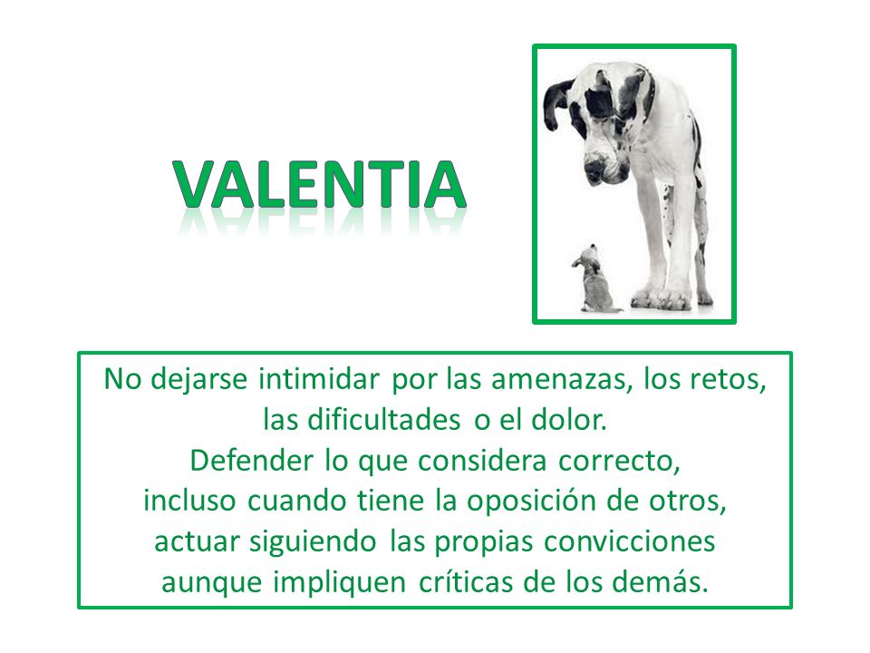 VALENTIA No dejarse intimidar por las amenazas, los retos, las dificultades o el dolor.