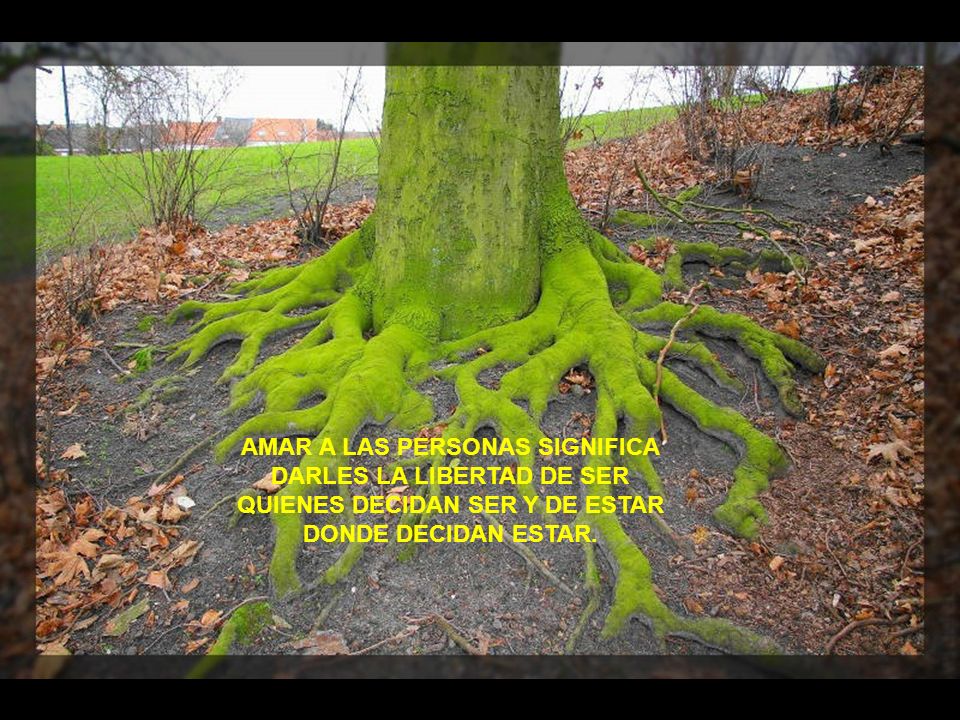 AMAR A LAS PERSONAS SIGNIFICA DARLES LA LIBERTAD DE SER
