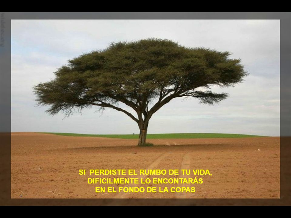 SI PERDISTE EL RUMBO DE TU VIDA, DIFICILMENTE LO ENCONTARÁS