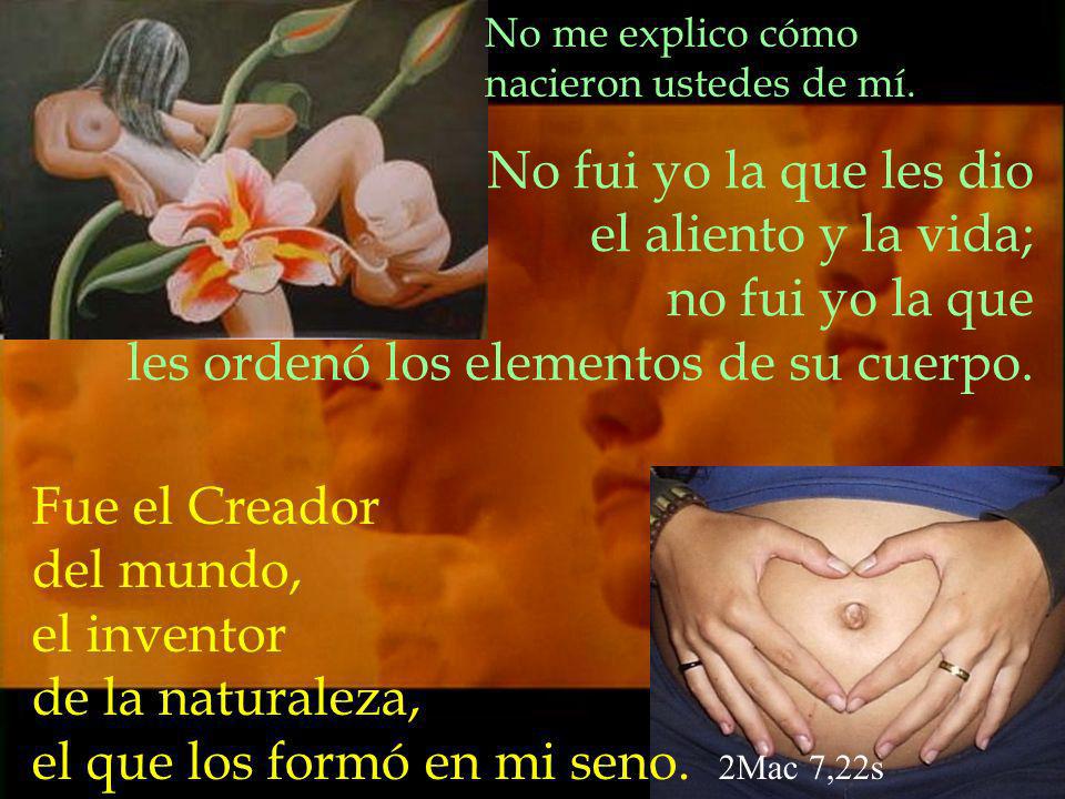 de la naturaleza, el que los formó en mi seno. 2Mac 7,22s