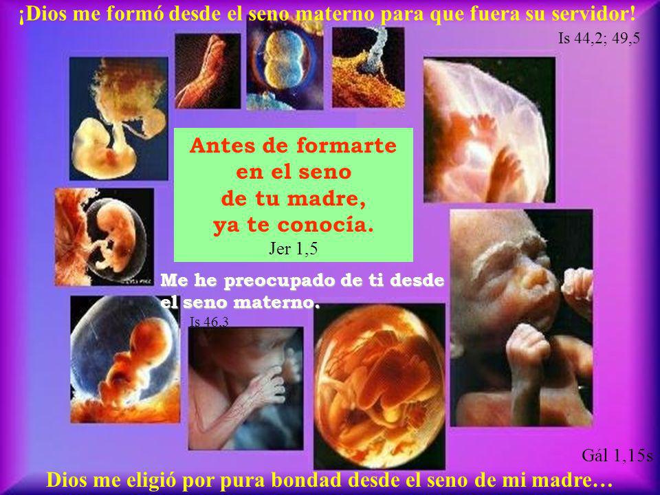 ¡Dios me formó desde el seno materno para que fuera su servidor!