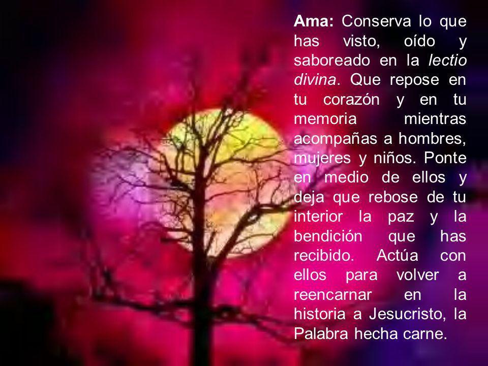 Ama: Conserva lo que has visto, oído y saboreado en la lectio divina