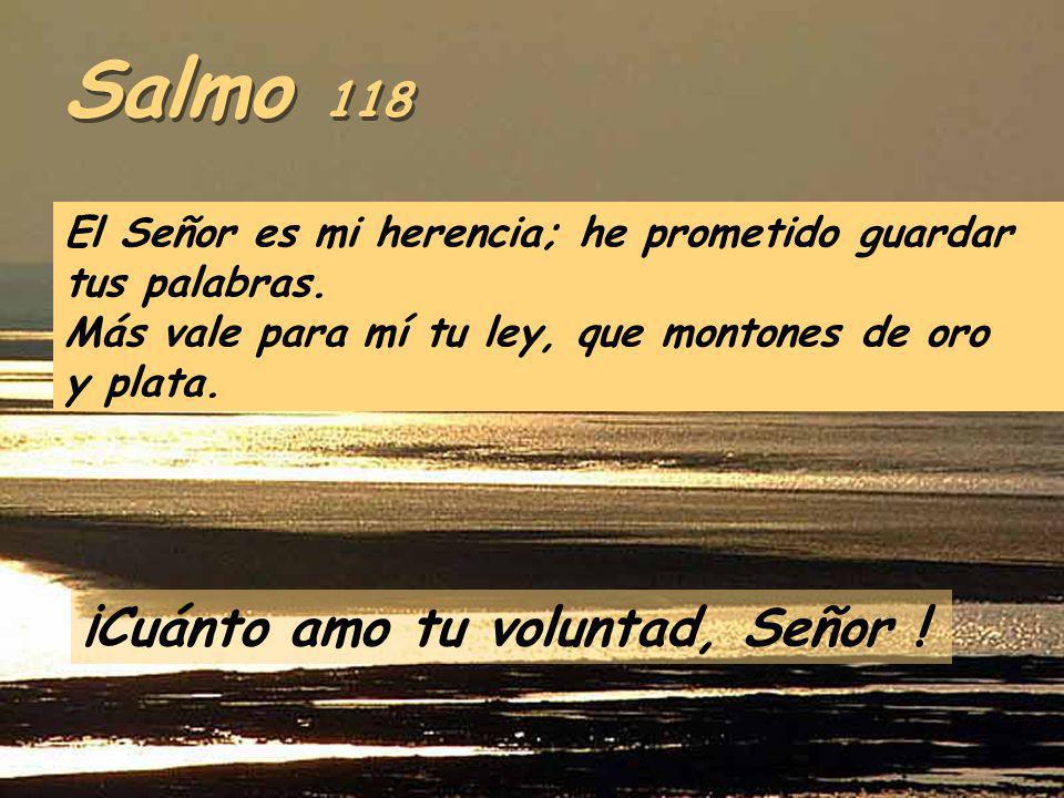 Salmo 118 ¡Cuánto amo tu voluntad, Señor !