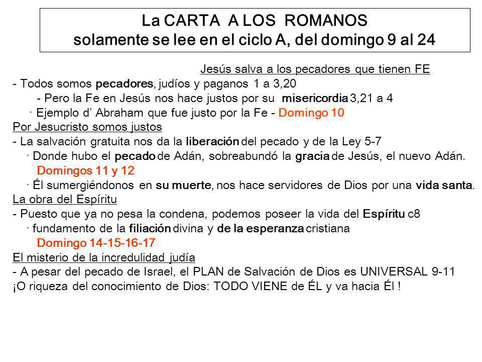 La CARTA A LOS ROMANOS solamente se lee en el ciclo A, del domingo 9 al 24