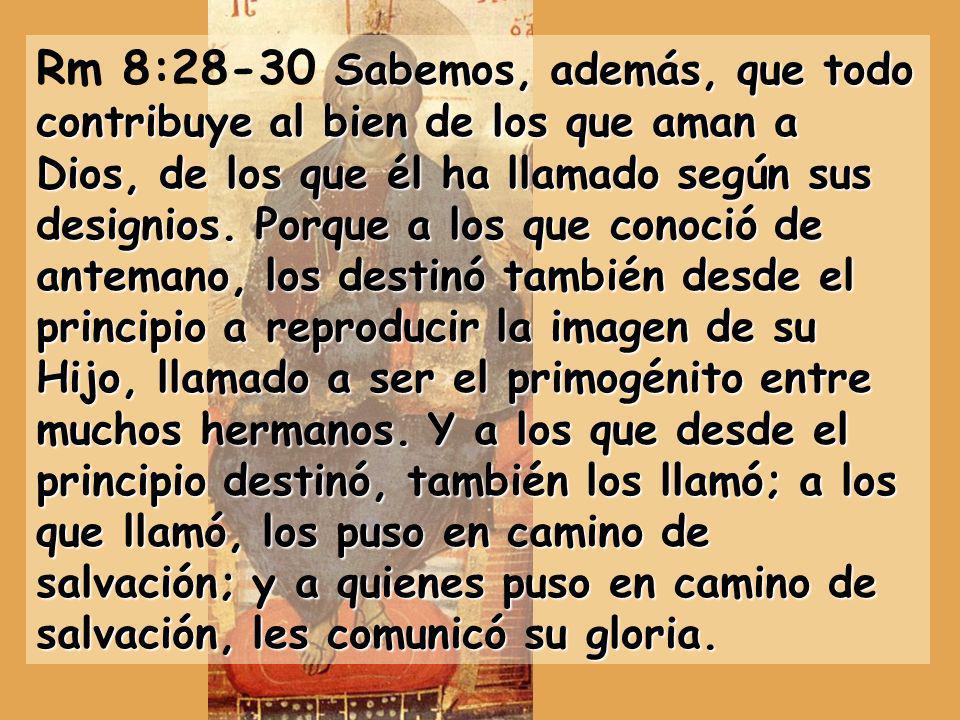 Rm 8:28-30 Sabemos, además, que todo contribuye al bien de los que aman a Dios, de los que él ha llamado según sus designios.