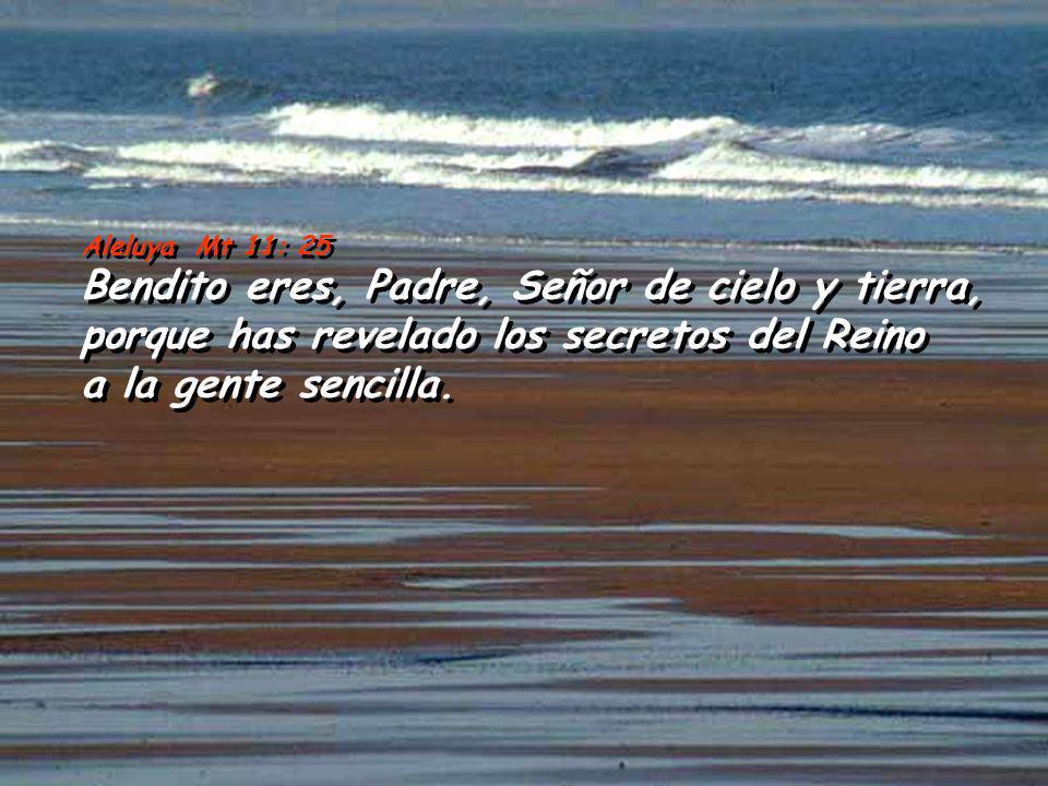 Aleluya Mt 11: 25 Bendito eres, Padre, Señor de cielo y tierra, porque has revelado los secretos del Reino a la gente sencilla.