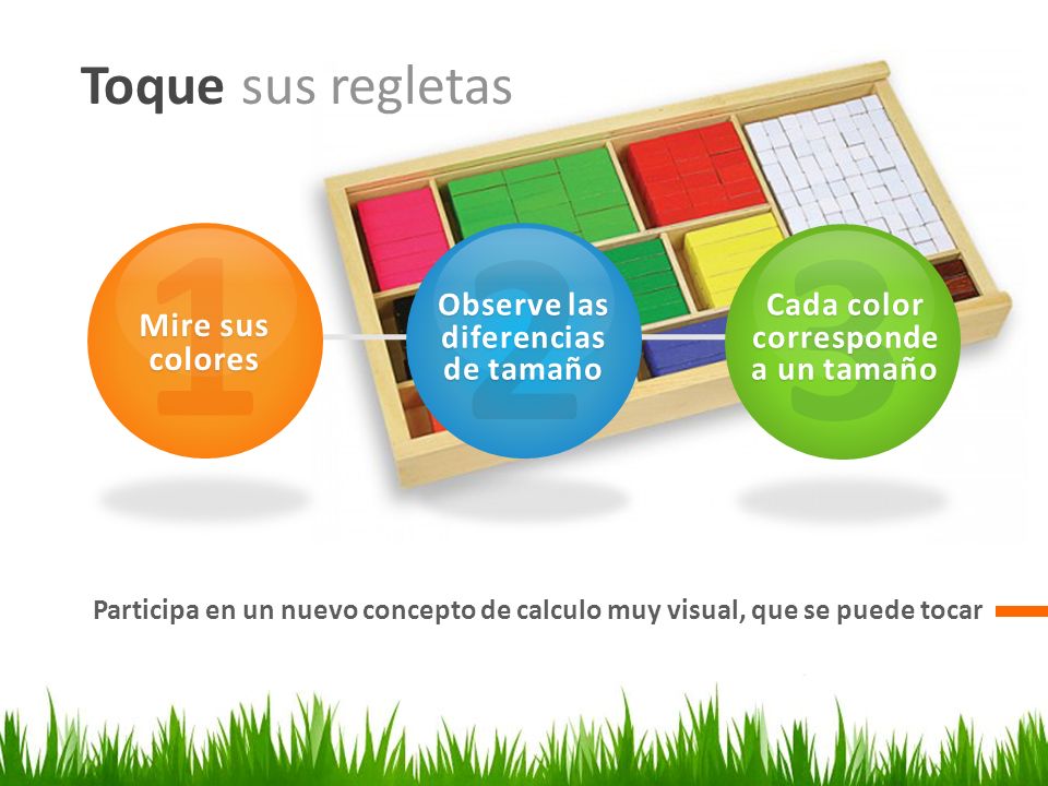 Observe las diferencias de tamaño Cada color corresponde a un tamaño