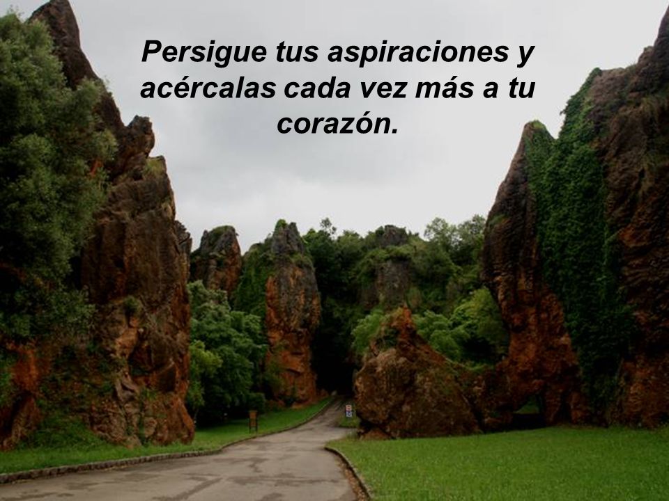 Persigue tus aspiraciones y acércalas cada vez más a tu corazón.