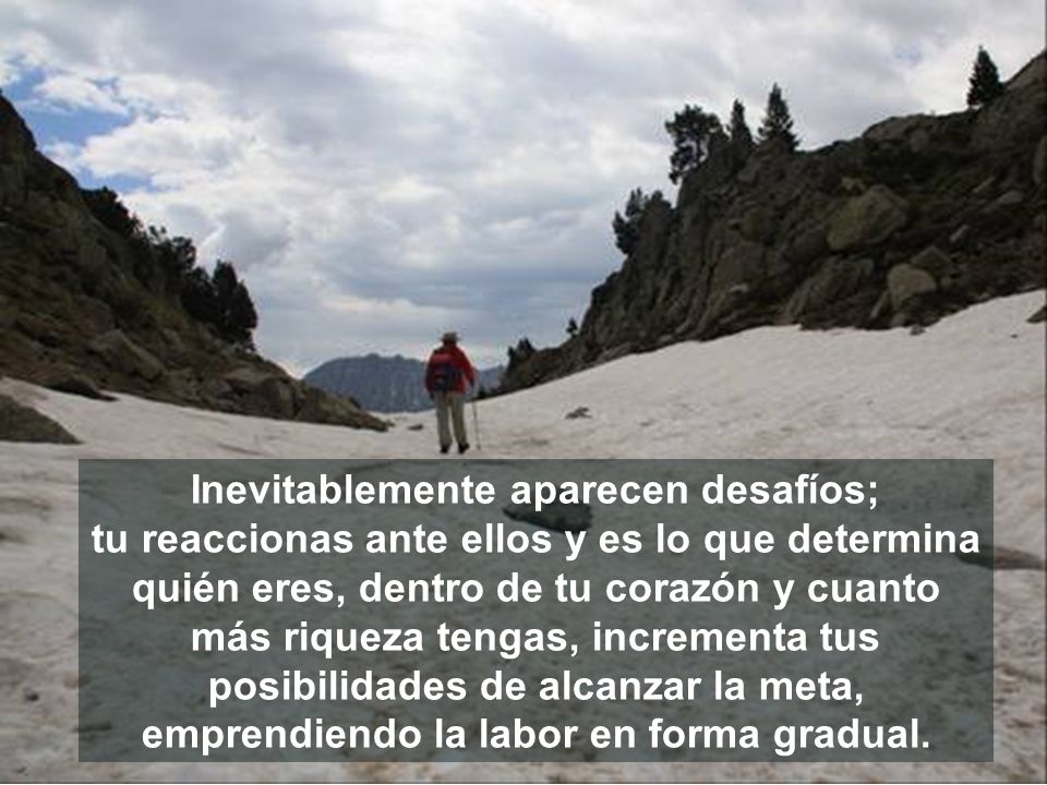 emprendiendo la labor en forma gradual.