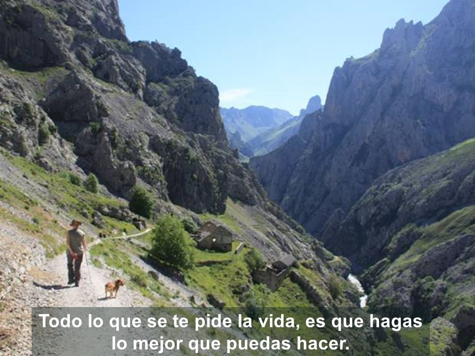 Todo lo que se te pide la vida, es que hagas lo mejor que puedas hacer.