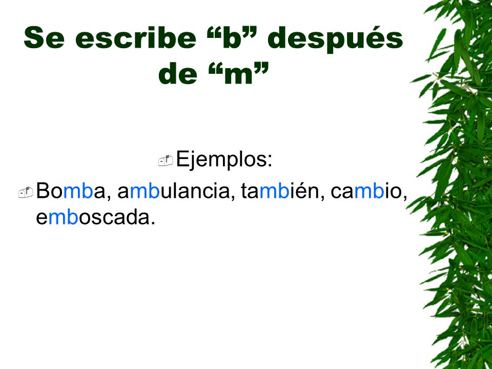 Se escribe b después de m