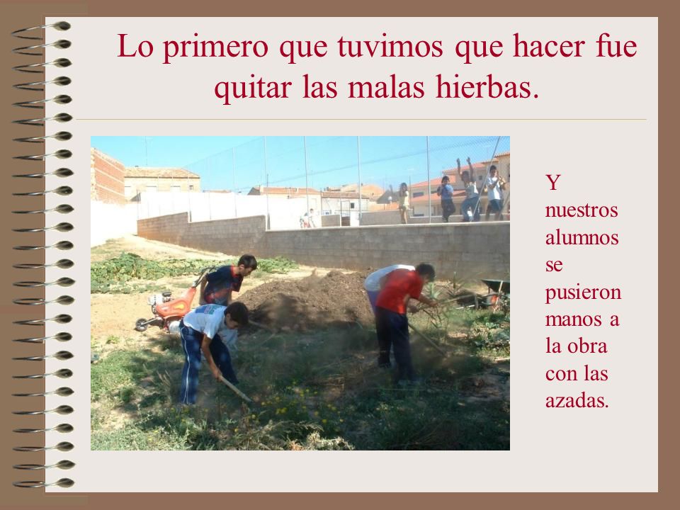 Lo primero que tuvimos que hacer fue quitar las malas hierbas.
