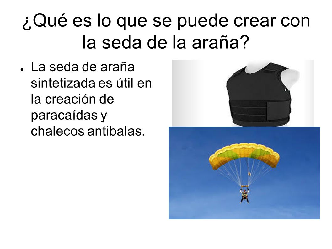 ¿Qué es lo que se puede crear con la seda de la araña