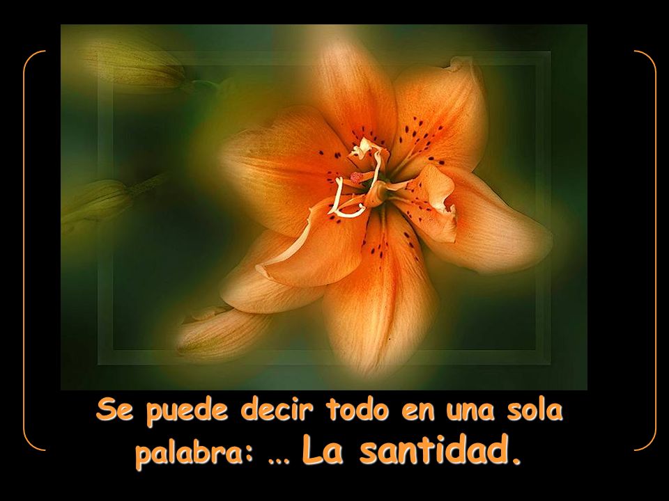 Se puede decir todo en una sola palabra: … La santidad.