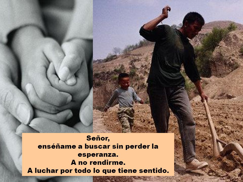 enséñame a buscar sin perder la esperanza. A no rendirme.